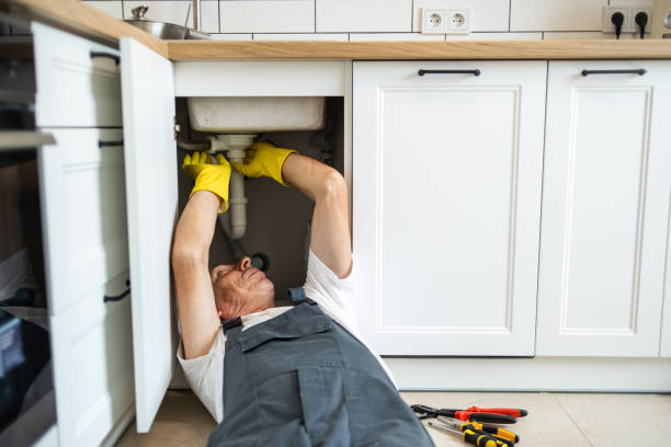 Best Local Plumber Services  in Hampton, VA